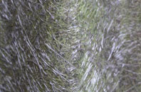 West Worldham fibreglass roof work